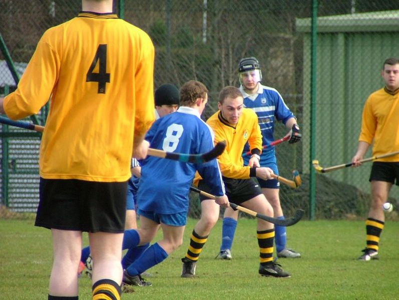 Men playing Shinty