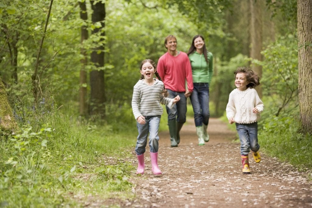 Family-Days-Out-Cornwall-Woodland-Walk