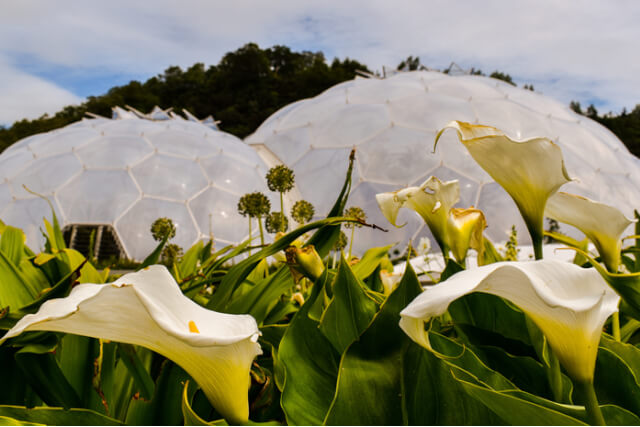 Eden Project.