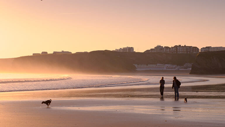 couple on beach at sunset walking dogs