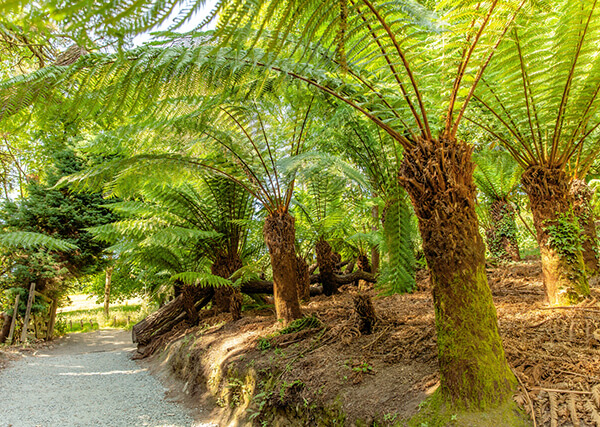 Lost Gardens of Heligan - activities in Cornwall