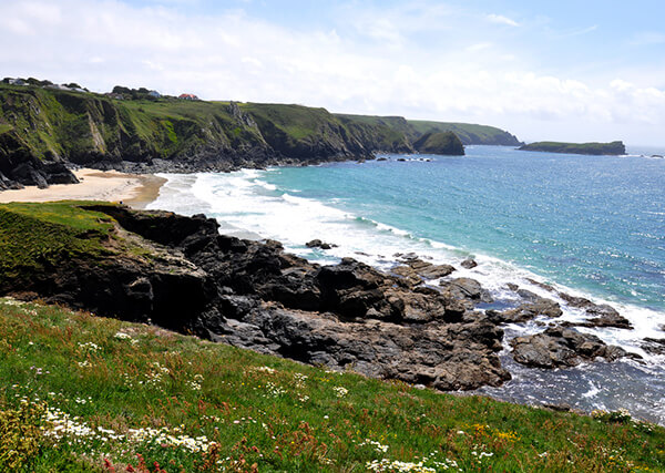 Polurrian Beach, Mullion - where to see seals in Cornwall