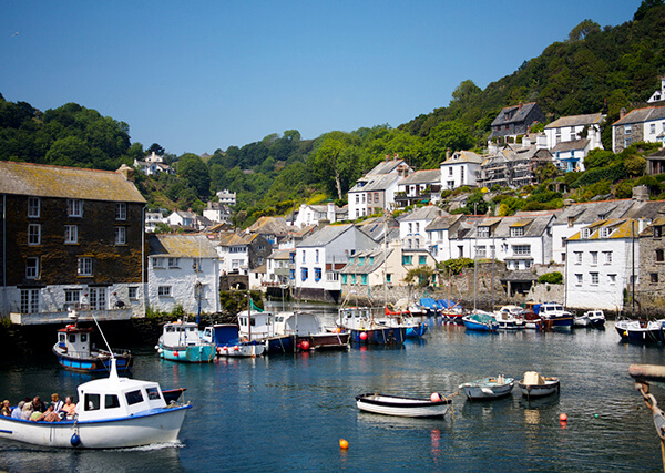 Padstow Harbour - where to see seals