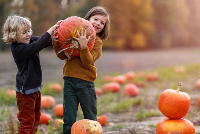 Two young children pumpkin picking in October.