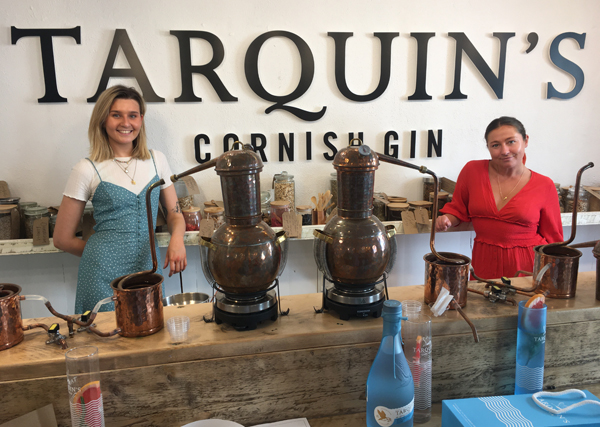 Tarquins Gin School