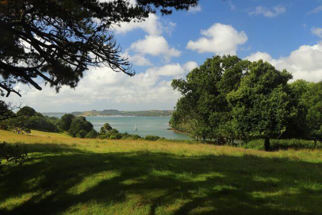 Trelissick Gardens overlooking the River Fal in Cornwall.