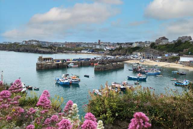 View of Newquay Harbour with boats floating in it, and flowers in the foreground